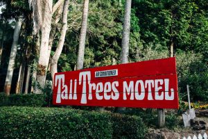 Tall Trees Motel Mountain Retreat - Surfers Paradise Gold Coast