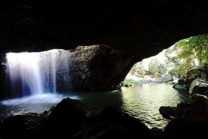 Natural Arch Rainforest  Volcano Canyon - Private Half Day Tour - Surfers Paradise Gold Coast